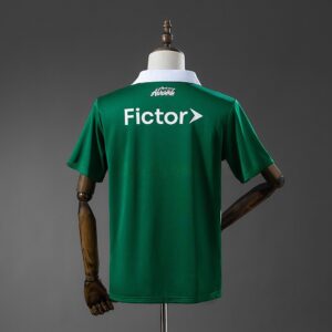 Palmeiras 25_26 Special Edition - White and Green Striped Jersey – Replica Footb