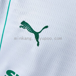 Palmeiras 26/27 Player Version Away Jersey – Replica Football Soccer Shirt – S–3