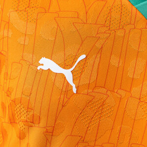 Ivory Coast 2025 Home Player Version Jersey – Replica Football Soccer Shirt – S–