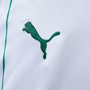 Palmeiras 26/27 Away Jersey – Replica Football Soccer Shirt – S–4XL