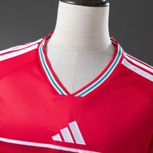 Wales 2026 Home Jersey – Replica Football Shirt – S–4XL