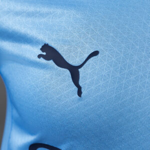Manchester City 2025/2026 Home Long Sleeve Player Version Jersey – Replica Footb