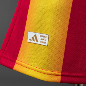 Spain 2026 Special Edition Player Version Jersey – Replica Football Soccer Shirt