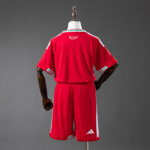 Wales 2026 Home Kids Kit Jersey – Replica Football Shirt – Size 16–28