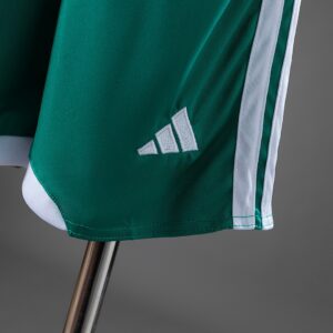 Northern Ireland 2026 Home Kids kit Jersey – Replica Football Soccer Shirt – SIZ