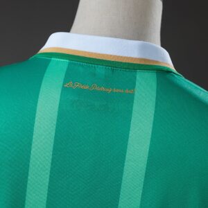 Aston Villa 26_27 St. Patrick's Day Jersey – Replica Football Soccer Shirt – S–X