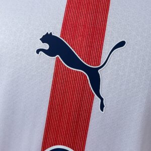 Chivas de Guadalajara 120 Aniversario Long Sleeve Jersey – Replica Football Socc