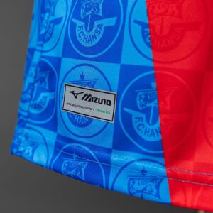 Hansa Rostock 25_26 Home Jersey – Replica Football Soccer Shirt – S–4XL