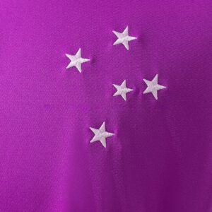 Cruzeiro 26_27 GK-Purple Jersey – Replica Football Soccer Shirt – S–4XL