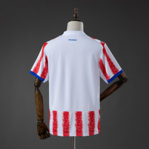 Paraguay 2026 Home Jersey – Replica Football Soccer Shirt – S–4XL