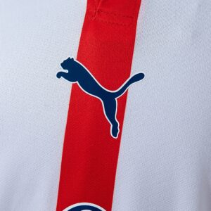 Chivas de Guadalajara 120 Aniversario Jersey – Replica Football Soccer Shirt – S