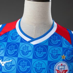 Hansa Rostock 25_26 Home Jersey – Replica Football Soccer Shirt – S–4XL