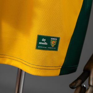 Donegal 2026 GAA Home Jersey – Replica Gaelic Football Shirt – S–5XL