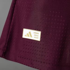 Aston Villa 26_27 Home Player Version Jersey – Replica Football Soccer Shirt – S