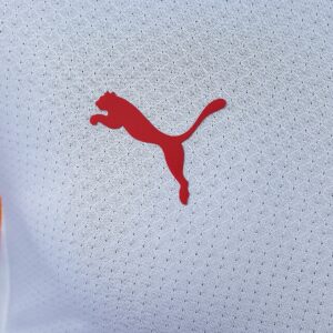 Galatasaray 26_27 Away Player Version Jersey – Replica Football Soccer Shirt – S