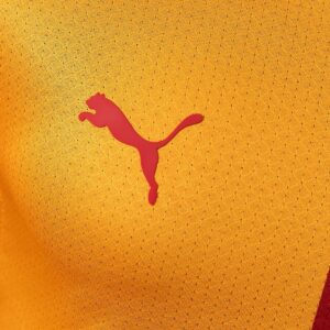 Galatasaray 26_27 Home Player Version Jersey – Replica Football Soccer Shirt – S