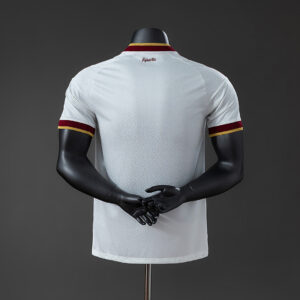 Spain 2026 Away 2-Star Champion Edition Player Version Jersey | Spain Football J